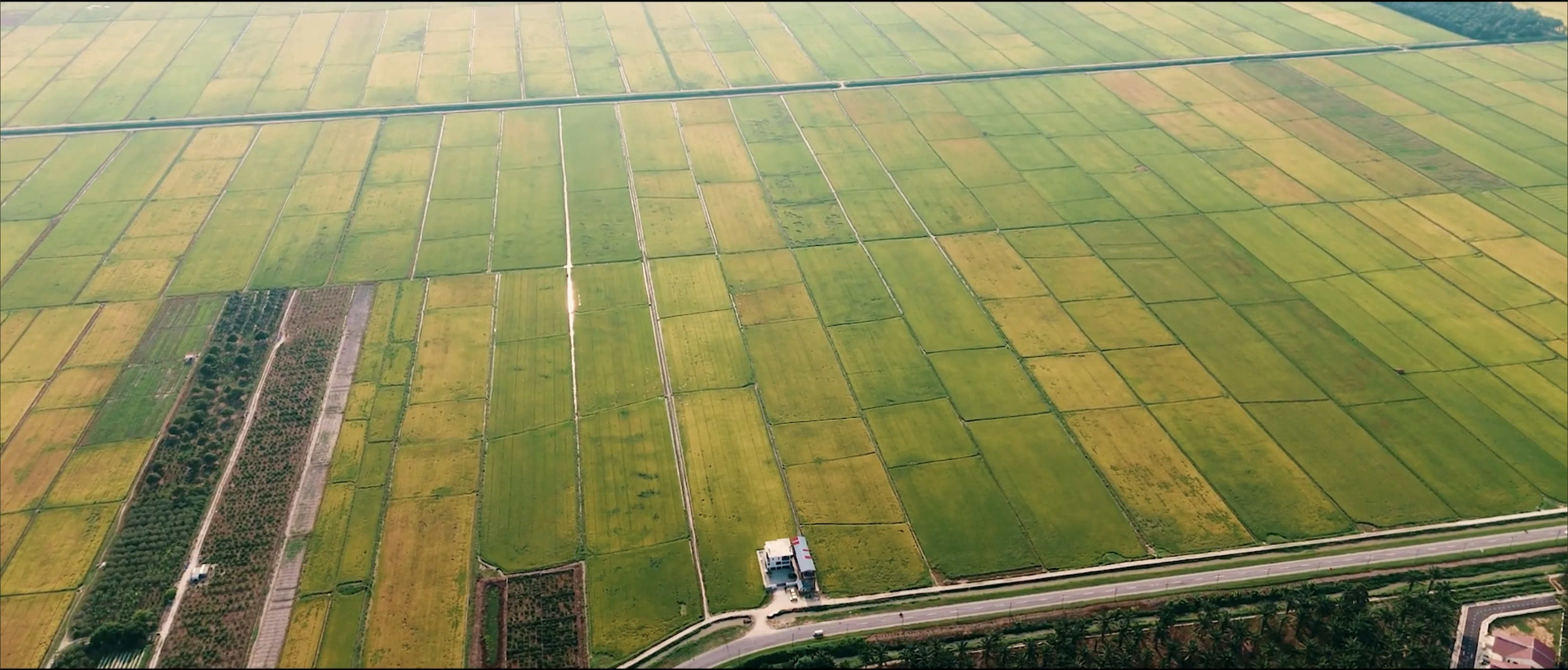 Raw, ungraded footage reference